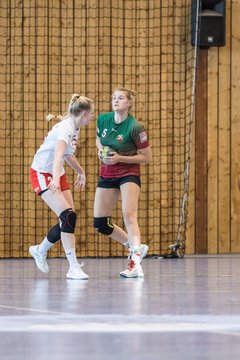 Bild 40 - F HSG Kremperheide/Muensterdorf - Slesvig IF 2 : Ergebnis: 30:26